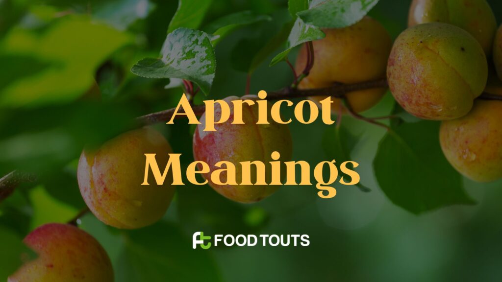 Apricot Meaning In Hindi, Urdu, Punjabi And Persian Food Touts