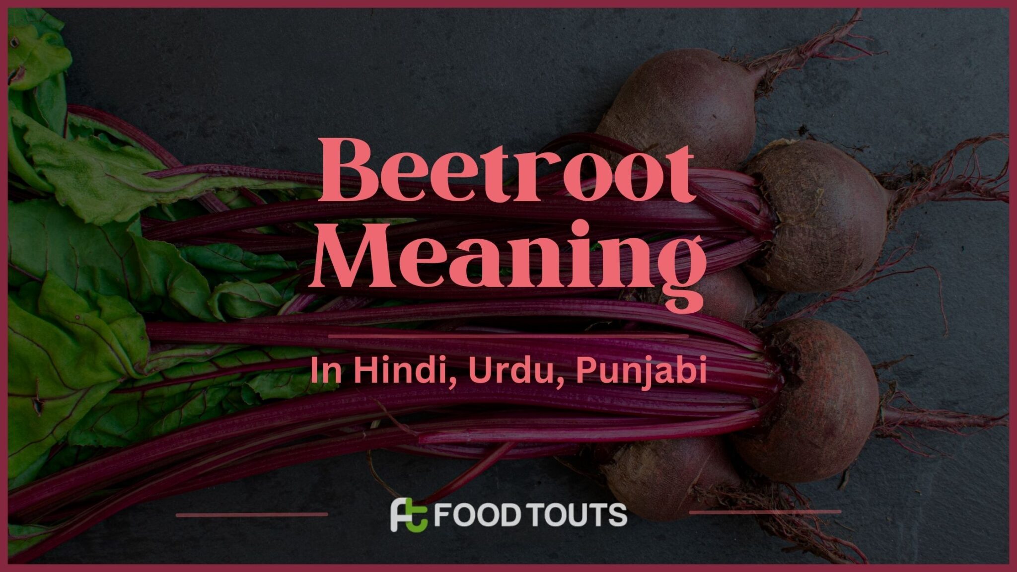 Beetroot Meaning In Hindi, Urdu, And Punjabi Food Touts